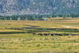 2789 Copperbush Ct, Genoa, NV 89411 - Photo 32