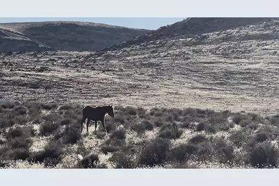 9325 Western Way, Stagecoach, NV 89429 - Photo 1