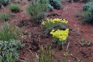 3300 High Rock Rd, Gerlach, NV 89412 - Photo 46