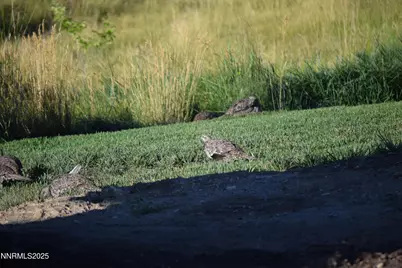 3300 High Rock Road, Gerlach, NV 89412 - Photo 56