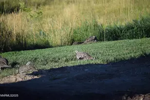 3300 High Rock Rd, Gerlach, NV 89412 - Photo 56