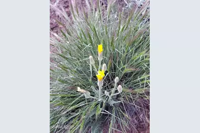 3300 High Rock Road, Gerlach, NV 89412 - Photo 48