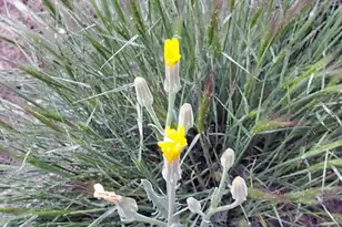 3300 High Rock Rd, Gerlach, NV 89412 - Photo 48