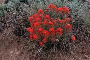 3300 High Rock Rd, Gerlach, NV 89412 - Photo 50