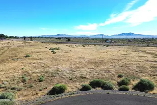 331 Angelina Cir, Smith Valley, NV 89444 - Photo 1