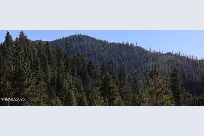 313 Tramway Drive #8, Stateline, NV 89449 - Photo 22