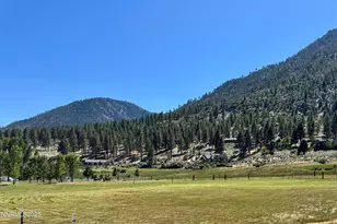 565 Jackson Ranch Rd, Gardnerville, NV 89460 - Photo 1