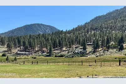 565 Jackson Ranch Road, Gardnerville, NV 89460 - Photo 4