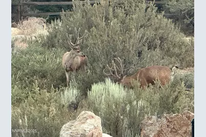 239 Commodore Drive, Verdi, NV 89439 - Photo 32