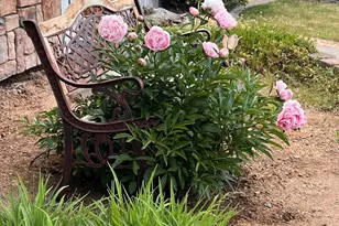 155 Veronica Ave, Spanish Springs, NV 89436 - Photo 52