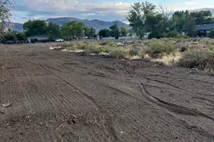 2608 Gordon Ave, Minden, NV 89423 - Photo 4