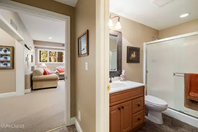 355 Blue Spruce Road, Reno, NV 89511 - Photo 44