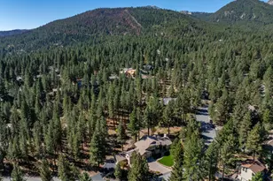 355 Blue Spruce Rd, Reno, NV 89511 - Photo 80