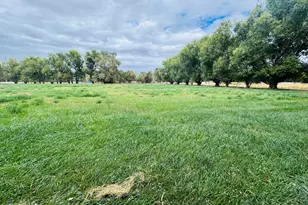 1616 Scoti Ln, Gardnerville, NV 89410 - Photo 6