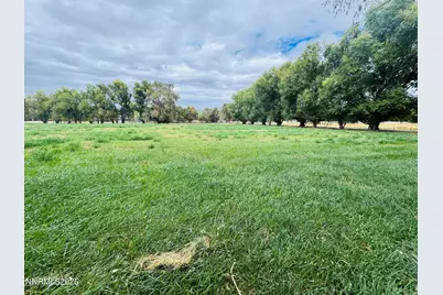1616 Scoti Lane, Gardnerville, NV 89410 - Photo 44