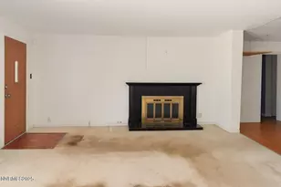 302 Griffin Ct, Stateline, NV 89449 - Photo 2