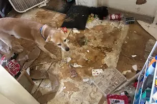 1790 Tuscarora St, Silver Springs, NV 89429 - Photo 6