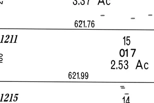 1211 Slate Rd, Topaz Ranch Estates, NV 89444 - Photo 30