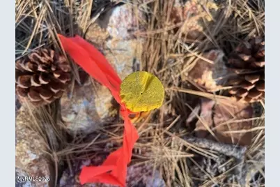 0 Buckeye, Off Of Road, Virginia City, NV 89440 - Photo 4