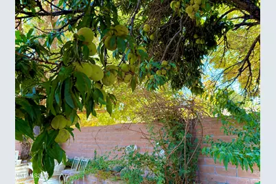 1616 Belarra Drive, Minden, NV 89423 - Photo 6