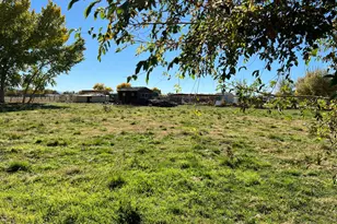 670 Wildes Rd, Fallon, NV 89406 - Photo 6