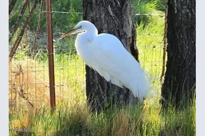 1155 S US Highway 395, Gardnerville, NV 89410 - Photo 10