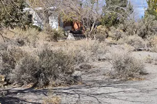 14 Yermo, Yerington, NV 89447 - Photo 12