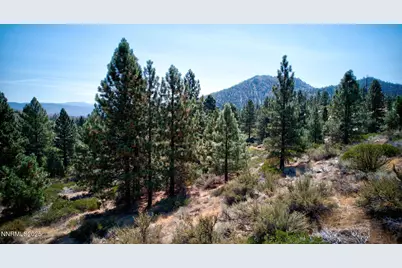 5645 US Highway 50, Carson City, NV 89701 - Photo 10