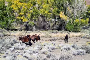 1088 McCarran Ranch Rd, Sparks, NV 89434 - Photo 2