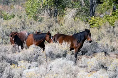1088 McCarran Ranch Road, Sparks, NV 89434 - Photo 48