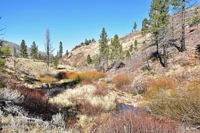 Apn 047 State Route 89, Markleeville, CA 96120 - Photo 10