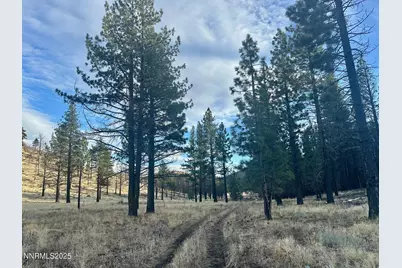 Apn 047 State Route 89, Markleeville, CA 96120 - Photo 54