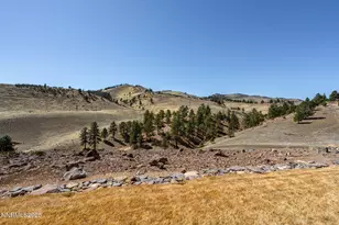 4856 Sierra Pine Ct, Reno, NV 89519 - Photo 56