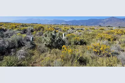 1205 Stephanie Way #57, Minden, NV 89423 - Photo 22