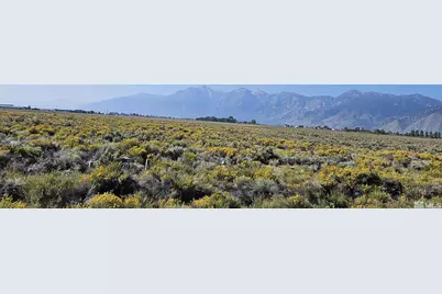 1205 Stephanie Way #57, Minden, NV 89423 - Photo 2