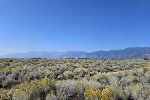 1205 Stephanie Way, Minden, NV 89423 - Photo 1