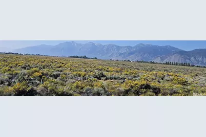 1205 Stephanie Way #57, Minden, NV 89423 - Photo 4