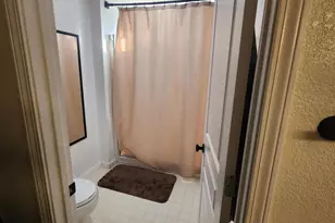 334 Monte Cristo Dr, Dayton, NV 89403 - Photo 30