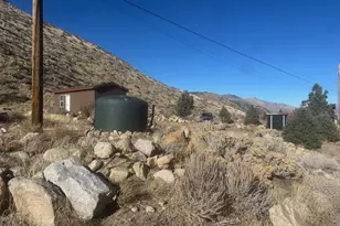 356 Western Dr, Coleville, CA 96107 - Photo 6