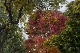 611 Nixon Ave, Reno, NV 89509 - Photo 32