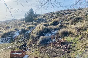 305a Grosh Ave, Dayton, NV 89403 - Photo 10