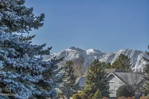 1317 Bridle Way, Minden, NV 89423 - Photo 8