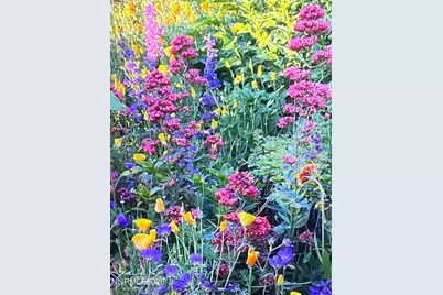 8560 Sirius Court, Reno, NV 89506 - Photo 34