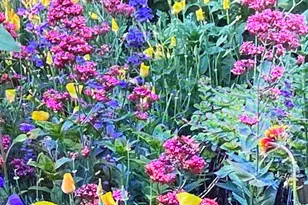 8560 Sirius Ct, Reno, NV 89506 - Photo 34