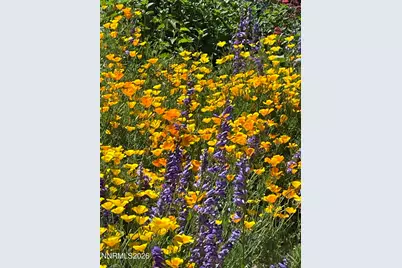 8560 Sirius Court, Reno, NV 89506 - Photo 36