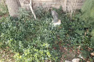 813 W 5th St, Carson City, NV 89703 - Photo 32