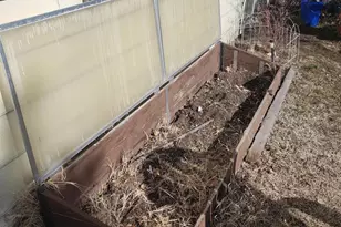 813 W 5th St, Carson City, NV 89703 - Photo 28