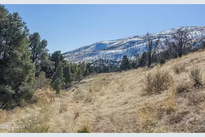 3221 Reese Lane, Gardnerville, NV 89410 - Photo 20