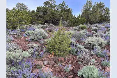 0 Microwave Road #1, Reno, NV 89510 - Photo 18