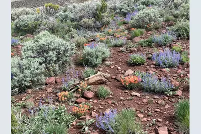 0000 Microwave Road #3, Reno, NV 89510 - Photo 2